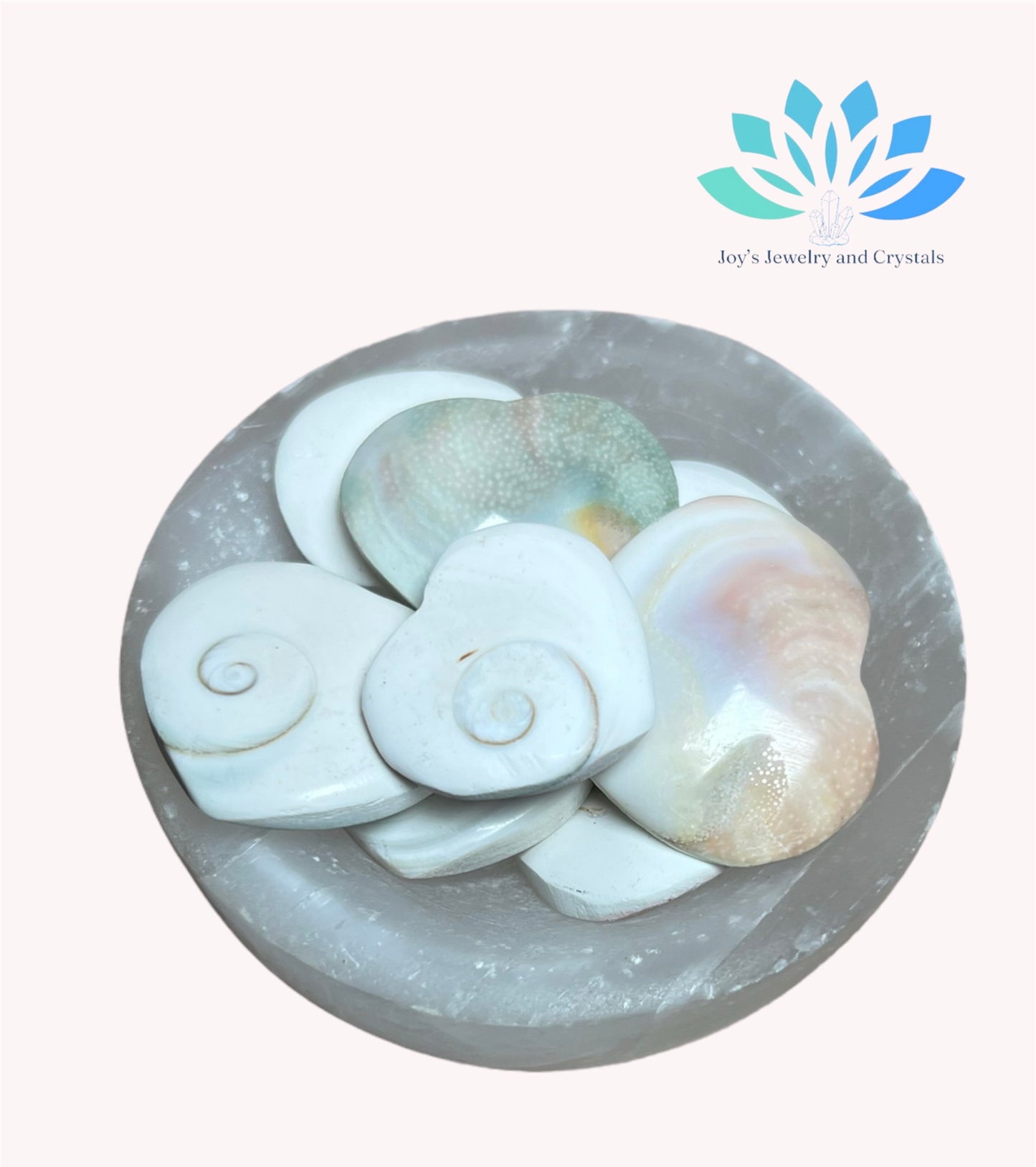 Corazones de concha de Shiva