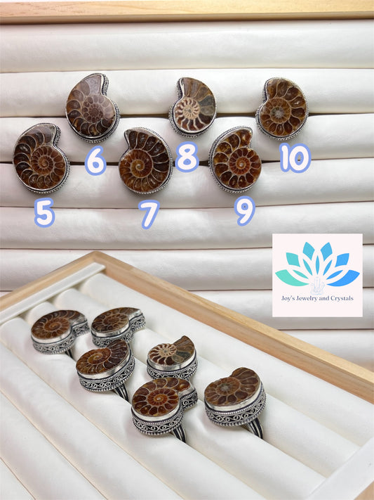 Ammonite Rings (S925)